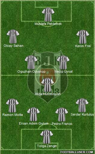 Besiktas JK Formation 2014