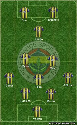 Fenerbahçe SK Formation 2014