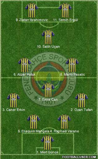 Fenerbahçe SK Formation 2014