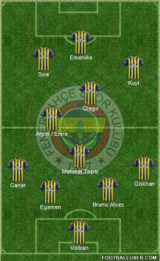 Fenerbahçe SK Formation 2014