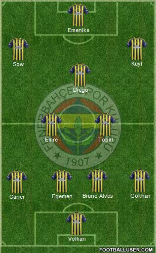 Fenerbahçe SK Formation 2014