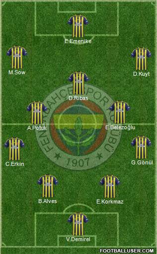 Fenerbahçe SK Formation 2014