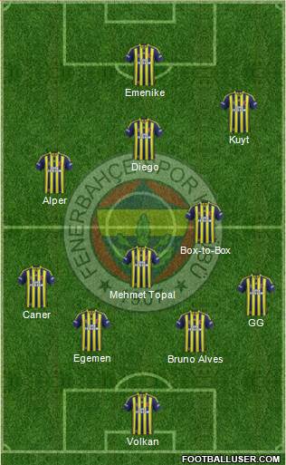 Fenerbahçe SK Formation 2014