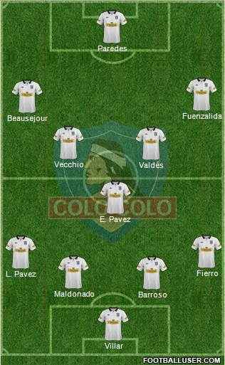 CSD Colo Colo Formation 2014