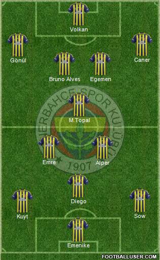 Fenerbahçe SK Formation 2014