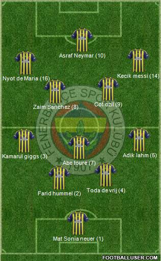 Fenerbahçe SK Formation 2014