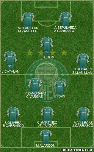 SE Palmeiras Formation 2014