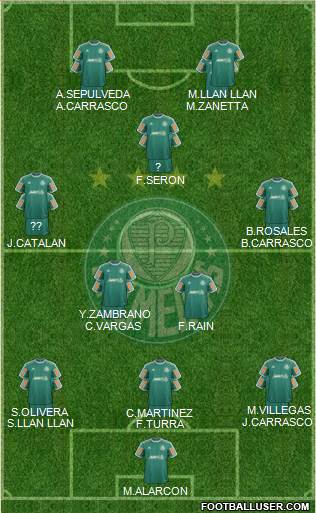SE Palmeiras Formation 2014