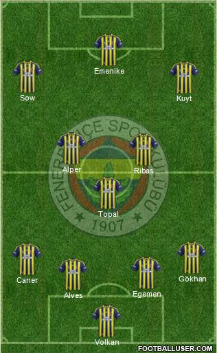 Fenerbahçe SK Formation 2014