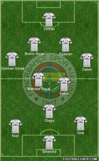 Fenerbahçe SK Formation 2014