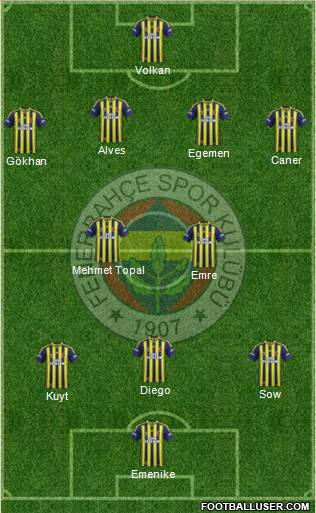 Fenerbahçe SK Formation 2014