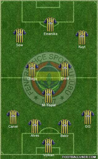 Fenerbahçe SK Formation 2014