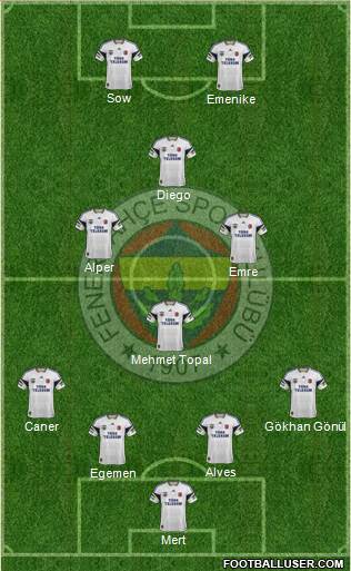 Fenerbahçe SK Formation 2014