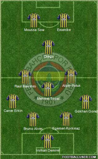 Fenerbahçe SK Formation 2014