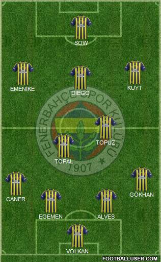 Fenerbahçe SK Formation 2014