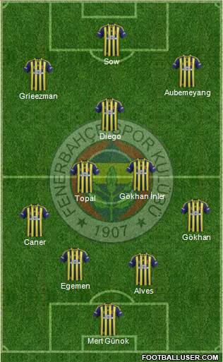 Fenerbahçe SK Formation 2014