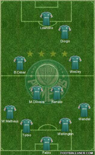 SE Palmeiras Formation 2014