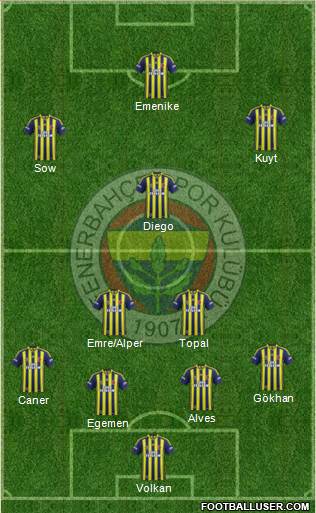 Fenerbahçe SK Formation 2014