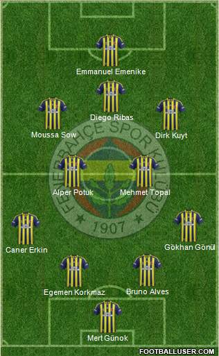 Fenerbahçe SK Formation 2014