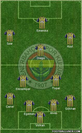 Fenerbahçe SK Formation 2014