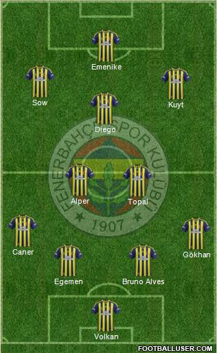 Fenerbahçe SK Formation 2014