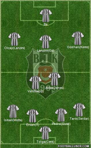 Besiktas JK Formation 2014