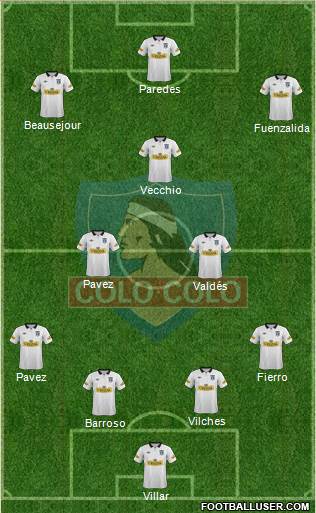 CSD Colo Colo Formation 2014
