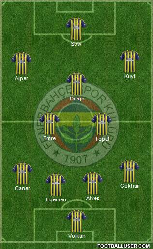 Fenerbahçe SK Formation 2014