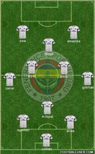 Fenerbahçe SK Formation 2014