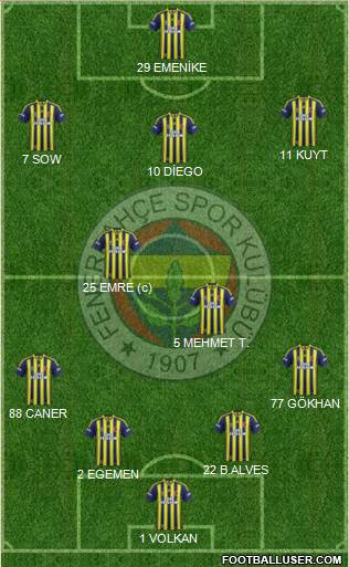 Fenerbahçe SK Formation 2014