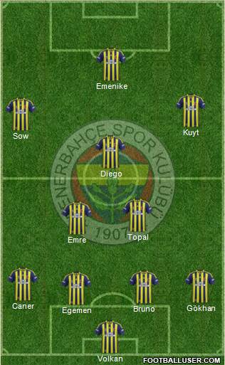 Fenerbahçe SK Formation 2014