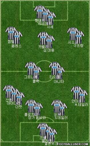 Newcastle United Formation 2014