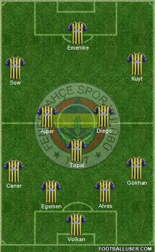 Fenerbahçe SK Formation 2014
