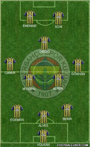Fenerbahçe SK Formation 2014