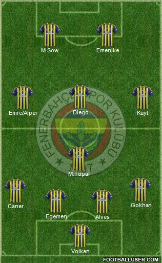 Fenerbahçe SK Formation 2014