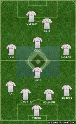 Hamburger SV Formation 2014
