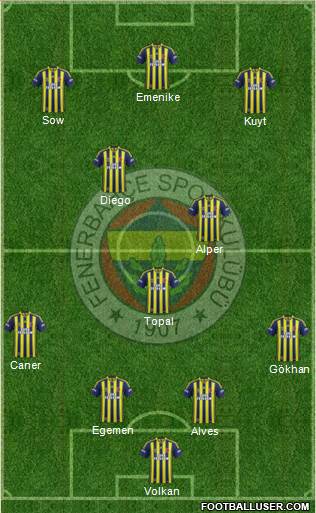Fenerbahçe SK Formation 2014