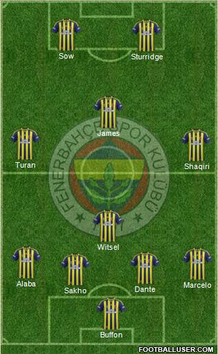 Fenerbahçe SK Formation 2014