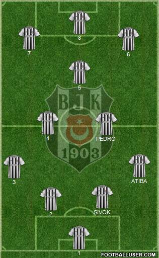 Besiktas JK Formation 2014