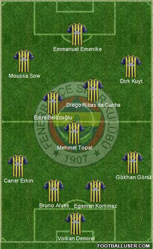 Fenerbahçe SK Formation 2014