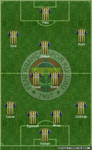 Fenerbahçe SK Formation 2014