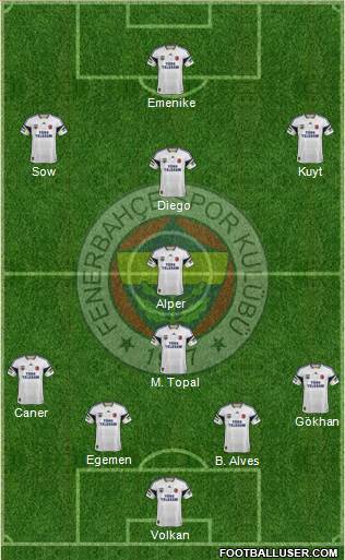 Fenerbahçe SK Formation 2014