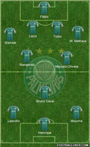 SE Palmeiras Formation 2014