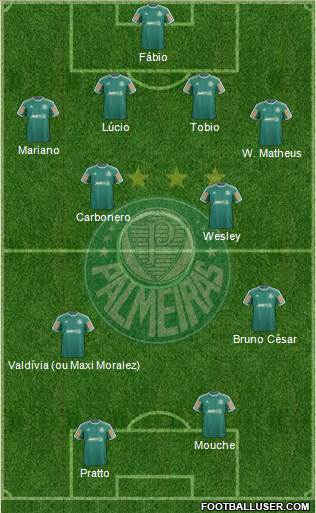 SE Palmeiras Formation 2014