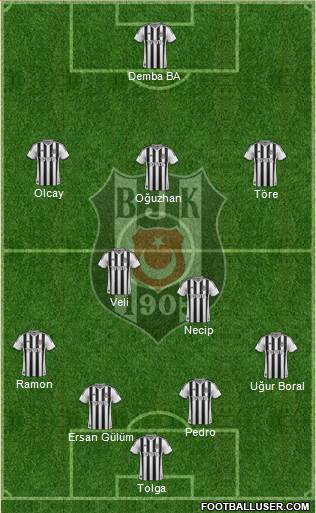 Besiktas JK Formation 2014