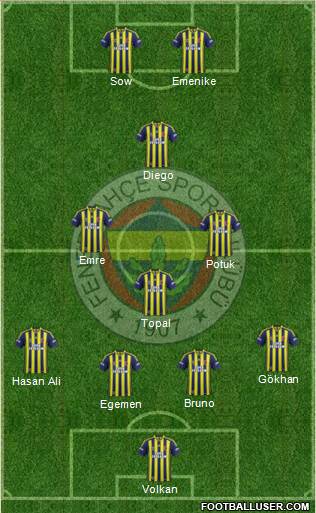 Fenerbahçe SK Formation 2014