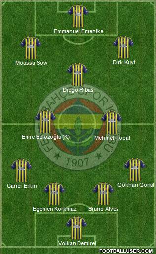Fenerbahçe SK Formation 2014