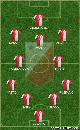 FK Vojvodina Novi Sad Formation 2014