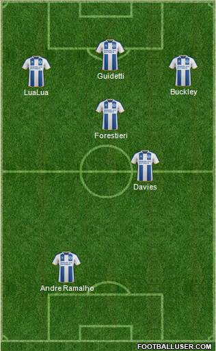Brighton and Hove Albion Formation 2014