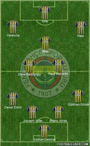 Fenerbahçe SK Formation 2014